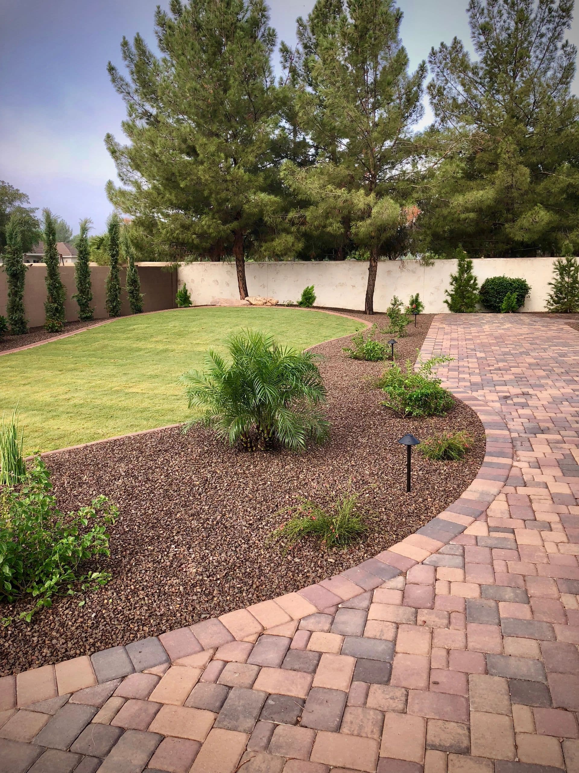 Curved paver pathway through desert landscaping with palm and pine trees