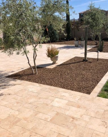 Travertine patio with olive trees built by Aspen Ridge Landscape & Design